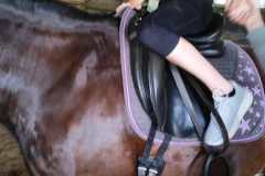 IMG-20240618-WA0105