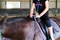 IMG-20240618-WA0109
