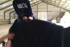 IMG-20240618-WA0134
