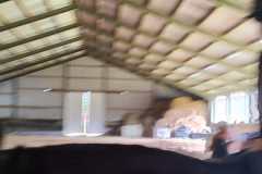 IMG-20240618-WA0141