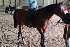 IMG-20240618-WA0175