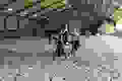 IMG-32f91b83fed9e13a73451888777d8d5f-V