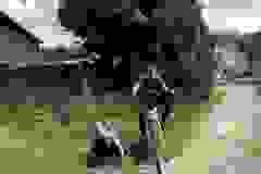 IMG-7da282f9d163e48324eff1083b2f0886-V