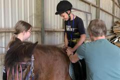 IMG-91d8c9b004e0dca0882be5b2305fe10b-V