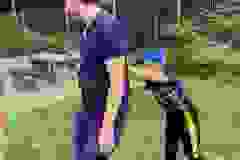 IMG-32dd11c0e8899a5a8a126eeeca07c6a6-V IMG-32dd11c0e8899a5a8a126eeeca07c6a6-V